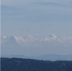 IMG_3135.jpg